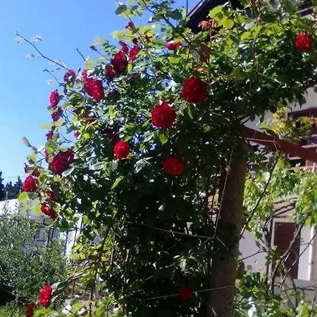 Apartment Apartman Sucuraj