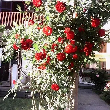 Apartman Sucuraj Lägenhet *